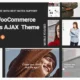 Styler - Elementor Fashion Store eCommerce Theme