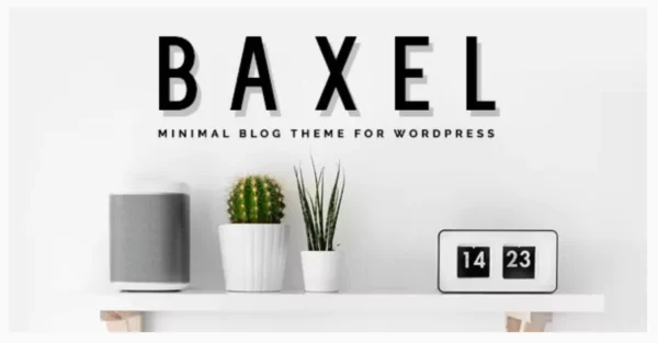 Baxel - Minimal Blog Theme for WordPress