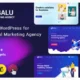 Digalu - Digital Marketing Agency WordPress